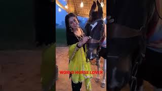 beautiful Punjab girl with horse indian cute girl with horse. suit salwar horse girl girl horse ride