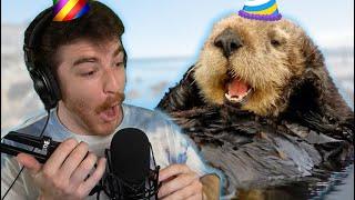 We threw ANOTHER birthday party for a Sea Otter and raised $14172
