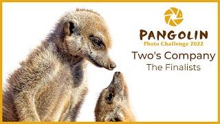 Twos Company Finalists from the Pangolin Photo Challenge