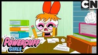 Powerpuff Girls  Buttercup The Math Queen  Cartoon Network