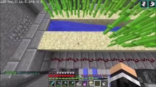 Minecraft Team Extreme Server Sugar Cane Farm Building Time Laps