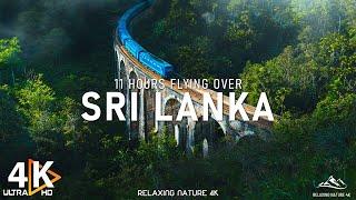 SRI LANKA 4K - Exploring the Stunning Landscapes of Sri Lanka - 4K Video UHD