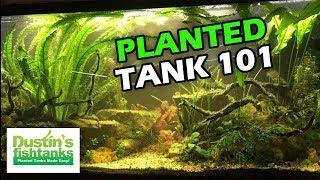 PLANTED TANK 101 The Basics