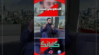 آفت های نباتی چیست؟ #1tvaf #gulbang #afghanistan