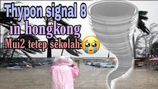 THYPON SIGNAL 8 IN HONGKONGNGANTER MUI2 SEKOLAH