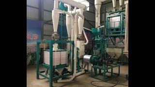 process 5t per 24h maize flour milling machine