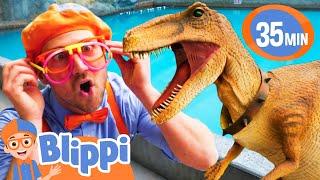 Blippi Meets Stanley The Dinosaur  BEST OF BLIPPI TOYS  Educational Videos for Kids