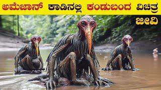 ಅಮೆಜಾನ್ ಕಾಡಿನ ರಹಸ್ಯಗಳು  Mysterious Creatures of Amazon Forest  Amazon Animals  VismayaVani