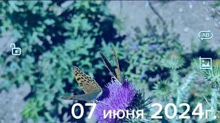 07 июня 2024г.