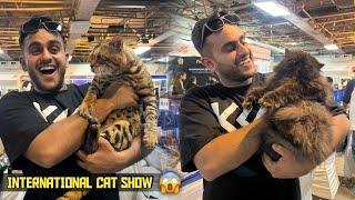 International Cat Show in Delhi