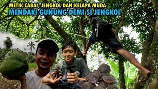 LELAH TERBAYARKAN.. NAIK GUNUNG DEMI SI JENGKOL BUAT NGALIWET