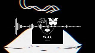 Vlinder Vos - Voice
