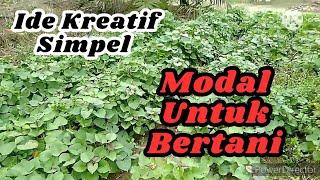 Ide kreatif - Mencari Modal Untuk Bertani