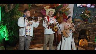 Tlacuatzin Son Huasteco  Huapango Music from Mexico