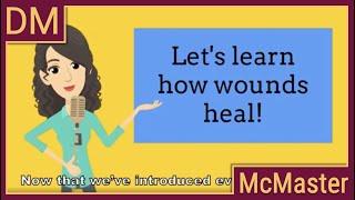 #KidZone How wounds heal