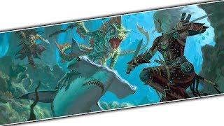 Neverwinter  An Aquatic Pirates Of The Caribbean Themed Adventure For M17M18?