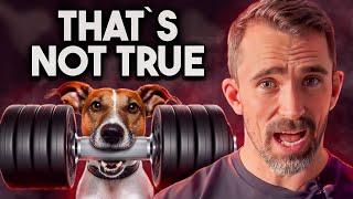 Mythbusters 10 Dog Myths You Need to Know