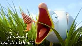 The Snail is Chased by a Dangerous Bird @GruffaloWorld  Compilation