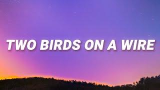 Regina Spektor - Two Birds On a Wire Lyrics