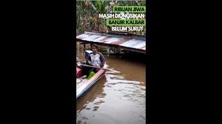 SUDAH PEKAN KE 3 BEGINI KABAR BANJIR KALBAR YANG TAK KUNJUNG SURUT #Shorts