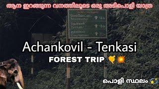 Achankovil - Tenkasi  Kerala - Tamil Nadu Road  Forest Ride  Achankovil Elephant attack ??? 