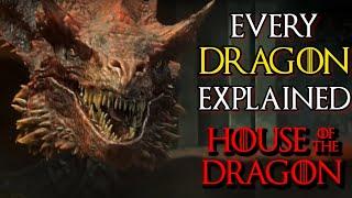 Every 20 Ferocious Dragons That Will Appear In House Of Dragons Series - Backstories Explored