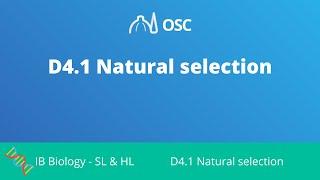 D4.1 Natural Selection IB Biology SLHL