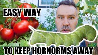 Keep Hornworms AWAY - EASY