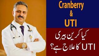 Role of Cranberry in prevention & Treatment of Urine Infection  UTI