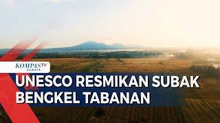 UNESCO Resmikan Subak Bengkel Tabanan Sebagai Ecodrology Demontration Site Unesco