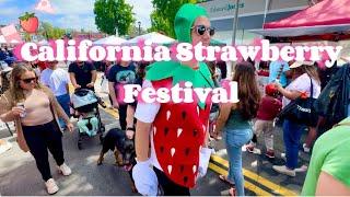 Downtown Vista California  Strawberry Festival  Walking Tour 4K