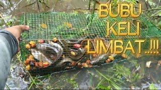 HASIL 6 BIJI BUBU IKAN KELI LIMBAT..