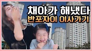 채아의 반포자이 미션?