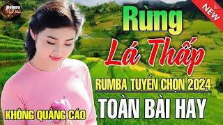 Rừng Lá Thấp - Mở Thật To Liên Khúc Rumba Hải Ngoại Còn Mãi Theo Thời Gian Nhạc Phòng Trà Dễ Ngủ