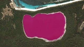 Look At This Bright Pink Lake