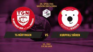 2. HBF TG Nürtingen vs. Kurpfalz Bären  SDTV Handball