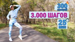 КАРДИО тренировка 3000 ШАГОВ. Сжечь 300 калорий за 25 МИН  Natinfitness