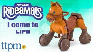 Rideamals Scout Play & Ride Pony - Interactive Toys from KidTrax