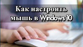 Как настроить мышь в Windows 10?