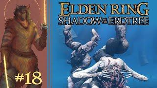 Lets Play Elden Ring Shadow of the Erdtree Part 18 - Metyr Mother of Fingers