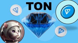 The TON Ecosystem is Exploding TSE and TCAT are the Top Memes