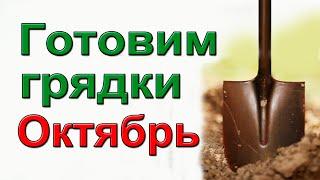 Как сделать урожайные грядки для томатов.  Пошаговая инструкция