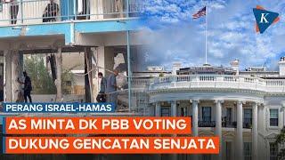 AS Minta Dewan Keamanan PBB Lakukan Voting Dukung Gencatan Senjata di Gaza