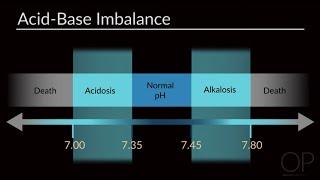 Interpreting Arterial Blood Gases ABGs by M. Greenlee  OPENPediatrics