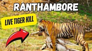 Ep-01 Shocking Tiger Attack at Ranthambore Safari