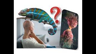 Достоверные признаки рака. О симптомах онкологии. Ещё раз о том как распознать опухоль.
