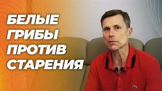 Эрготионеин-в белых грибах повышает спортивные результаты улучшает функцию митохондрий.