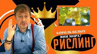 РИСЛИНГ Король белых вин мира?