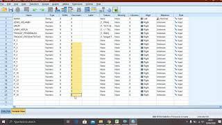 PENGOLAHAN DATA STATISTIK DENGAN SPSS VERSI 26