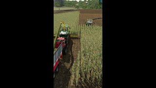 Oh no ‍  Funny Moments - Farming Simulator 22 #shorts